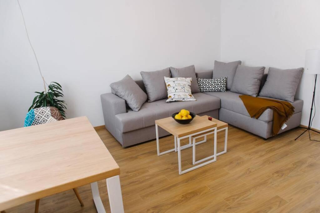 Millennium Bridge Cozy Apartment Top Location Подгорица Экстерьер фото